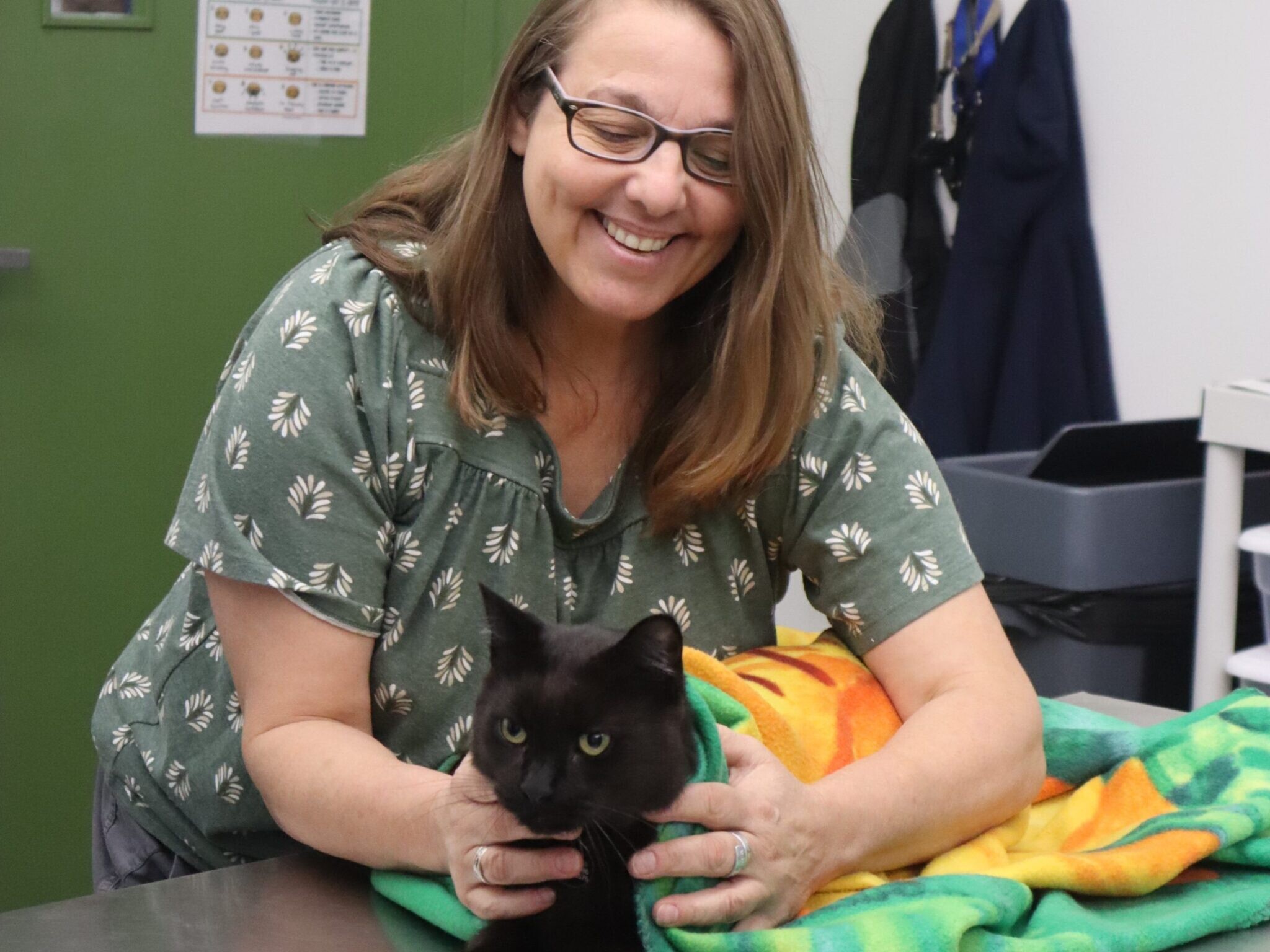 Woman wrapping cat in blanket