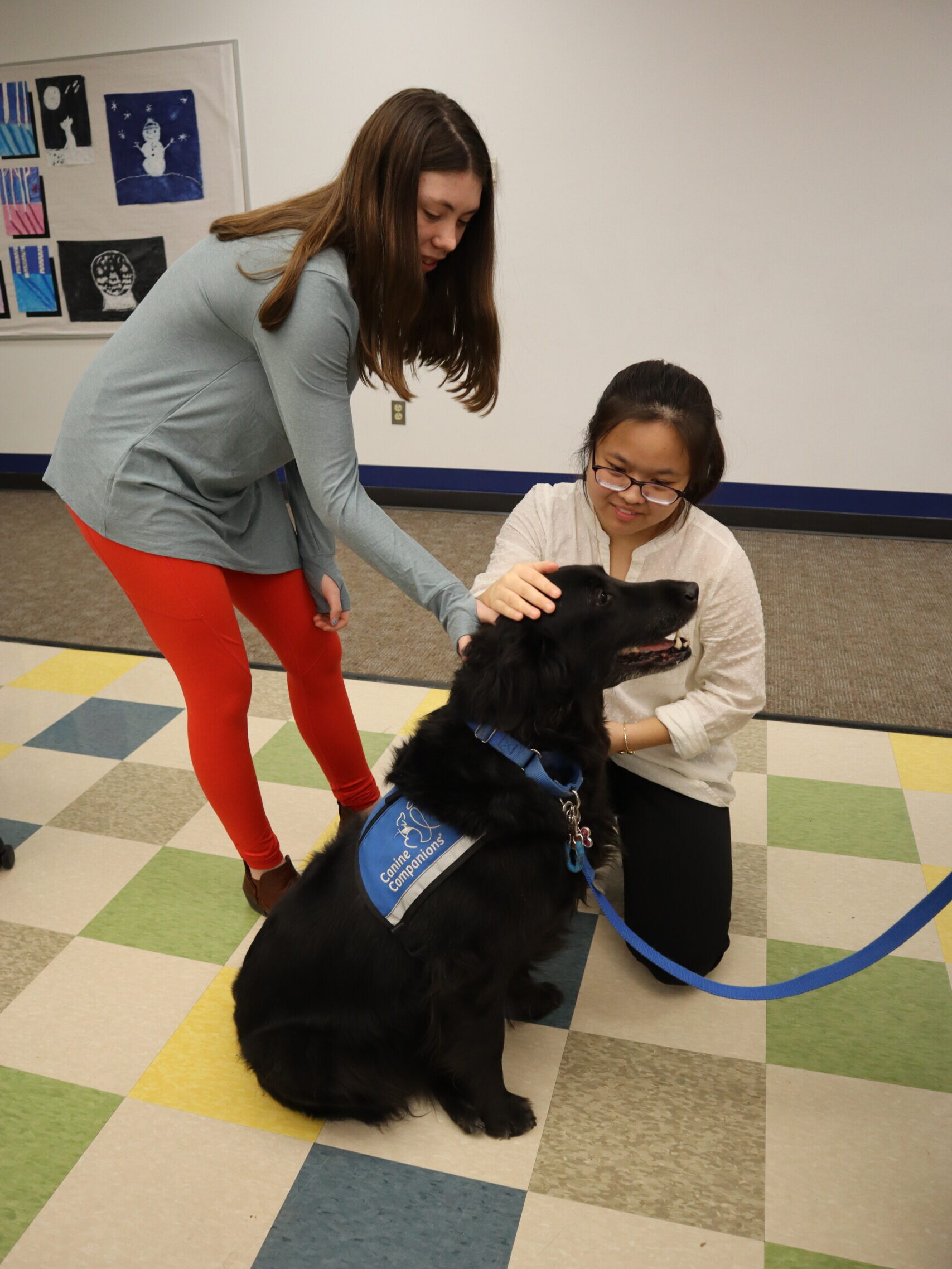 Students pet Northstar's Facility Dog.