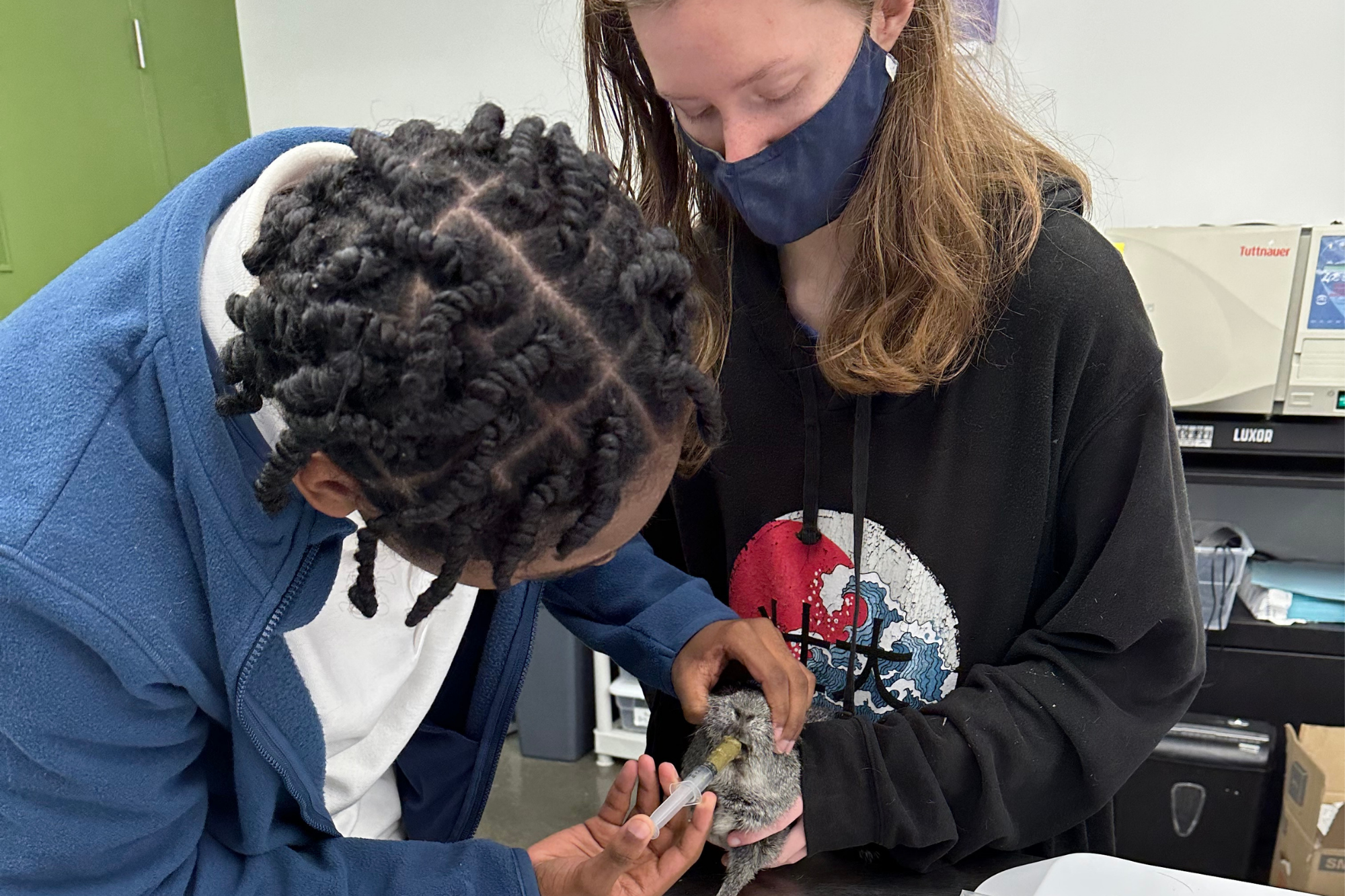 Veterinary Assisting students feed a rabbit using a syringe.